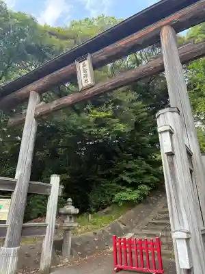 名島神社の{uncategorized: "未分類", other: "その他", undefined: "問題あり", building: "その他建物", grave: "お墓", sacred_gate: "鳥居", guardian: "狛犬", statue: "像", buddha: "仏像", history: "歴史", nature: "自然", garden: "庭園", animal: "動物", pagoda: "塔", temizu: "手水舎", mountain_gate: "山門・神門", sanctuary: "本殿・本堂", subordinate: "末社・摂社", art: "芸術", scenery: "景色", jizo: "地蔵", ema: "絵馬", goshuin: "御朱印", omikuji: "おみくじ", items: "授与品その他", amulet: "お守り", goshuincho: "御朱印帳", eats: "食事", festival: "お祭り", votive_dance: "神楽", shichigosan: "七五三参", wedding: "結婚式", experience: "体験その他", initially: "初詣", around: "周辺", anti_infection: "感染症対策"}