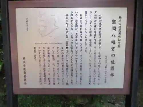 富岡八幡宮の歴史
