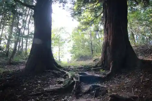 多賀神社の景色