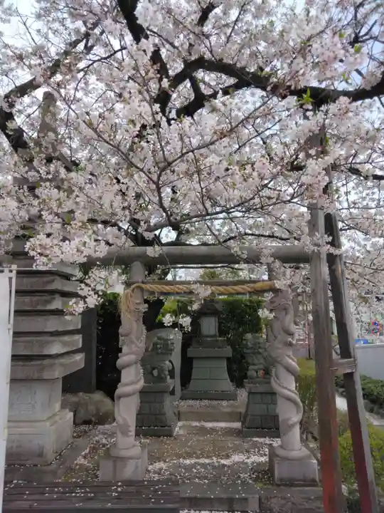 横浜三嶋大明神(神奈川県)