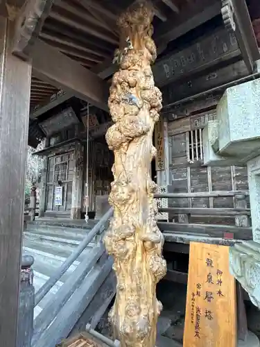 法泉寺(埼玉県)