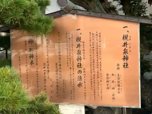 槻井泉神社(長野県)
