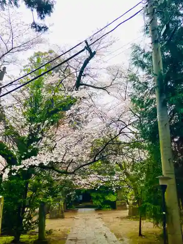 日先神社の自然
