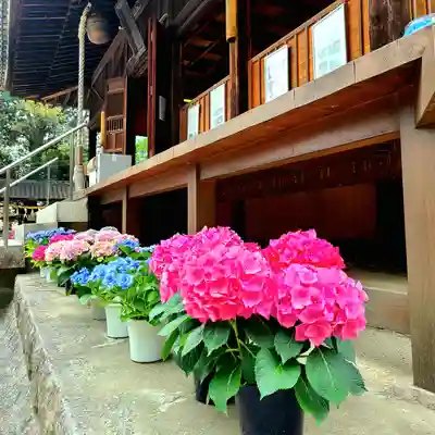 稲荷神社(愛知県)