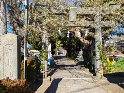 白山神社(神奈川県)