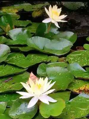 福泉寺(東京都)