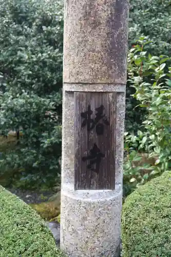 地蔵院（椿寺）の建物その他