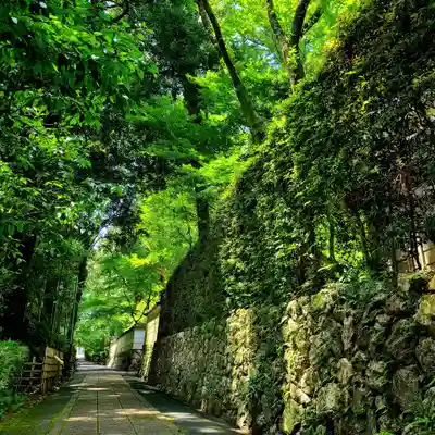 龍潭寺(静岡県)