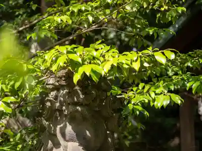 赤坂氷川神社(東京都)