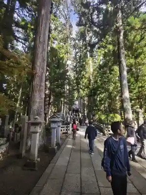 高野山金剛峯寺奥の院(和歌山県)