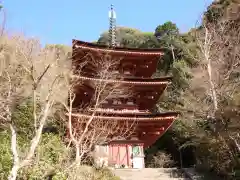 浄瑠璃寺(京都府)