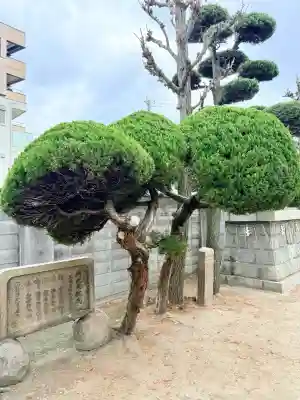みなと八幡神社の{uncategorized: "未分類", other: "その他", undefined: "問題あり", building: "その他建物", grave: "お墓", sacred_gate: "鳥居", guardian: "狛犬", statue: "像", buddha: "仏像", history: "歴史", nature: "自然", garden: "庭園", animal: "動物", pagoda: "塔", temizu: "手水舎", mountain_gate: "山門・神門", sanctuary: "本殿・本堂", subordinate: "末社・摂社", art: "芸術", scenery: "景色", jizo: "地蔵", ema: "絵馬", goshuin: "御朱印", omikuji: "おみくじ", items: "授与品その他", amulet: "お守り", goshuincho: "御朱印帳", eats: "食事", festival: "お祭り", votive_dance: "神楽", shichigosan: "七五三参", wedding: "結婚式", experience: "体験その他", initially: "初詣", around: "周辺", anti_infection: "感染症対策"}