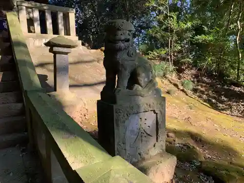 雷電神社の狛犬