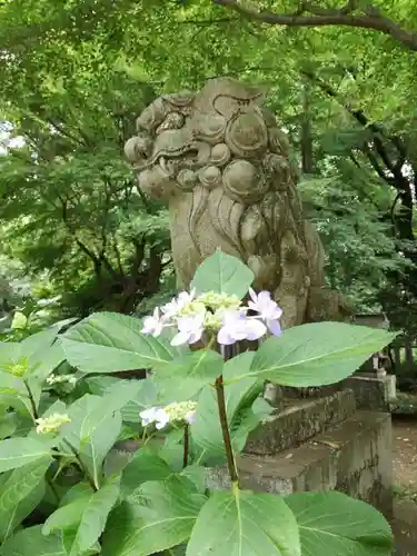 大宝八幡宮の狛犬