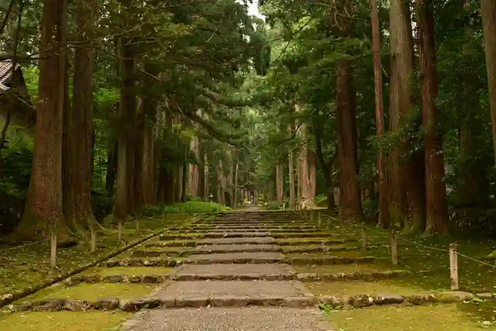 平泉寺白山神社(福井県)