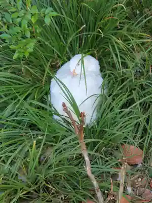 楽法寺（雨引観音）(茨城県)