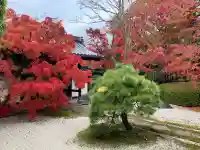 天授庵(京都府)