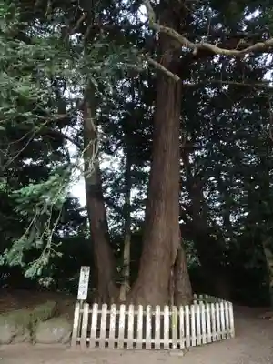 鎌数伊勢大神宮のその他建物
