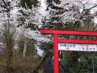 蒼柴神社の{uncategorized: "未分類", other: "その他", undefined: "問題あり", building: "その他建物", grave: "お墓", sacred_gate: "鳥居", guardian: "狛犬", statue: "像", buddha: "仏像", history: "歴史", nature: "自然", garden: "庭園", animal: "動物", pagoda: "塔", temizu: "手水舎", mountain_gate: "山門・神門", sanctuary: "本殿・本堂", subordinate: "末社・摂社", art: "芸術", scenery: "景色", jizo: "地蔵", ema: "絵馬", goshuin: "御朱印", omikuji: "おみくじ", items: "授与品その他", amulet: "お守り", goshuincho: "御朱印帳", eats: "食事", festival: "お祭り", votive_dance: "神楽", shichigosan: "七五三参", wedding: "結婚式", experience: "体験その他", initially: "初詣", around: "周辺", anti_infection: "感染症対策"}
