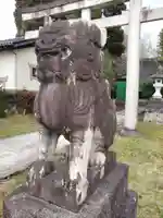 柿沢神社の狛犬