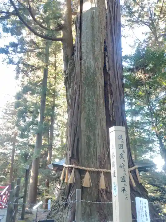 鷲子山上神社(茨城県)