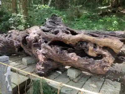 泉神社(茨城県)