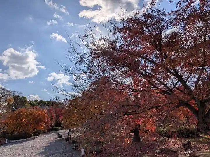 東寺(教王護国寺)(京都府)