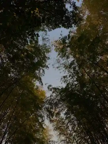 皇産霊神社の自然