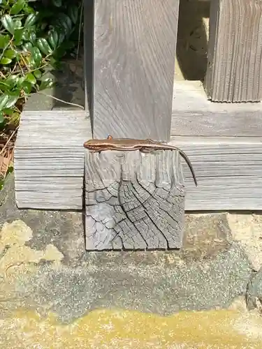 日御碕神社(島根県)