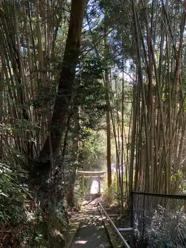 大宮神社の鳥居