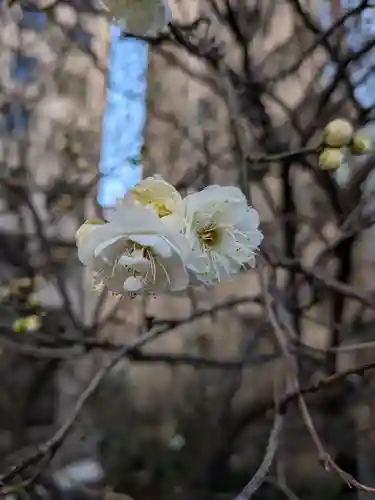 銀世界稲荷神社(東京都)