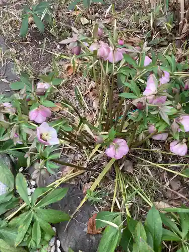 教善寺(神奈川県)