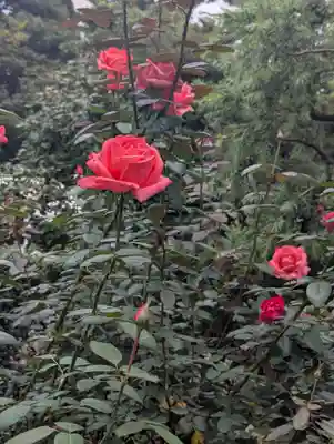 駒込妙義神社(東京都)