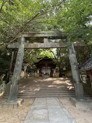 金刀比羅神社の{uncategorized: "未分類", other: "その他", undefined: "問題あり", building: "その他建物", grave: "お墓", sacred_gate: "鳥居", guardian: "狛犬", statue: "像", buddha: "仏像", history: "歴史", nature: "自然", garden: "庭園", animal: "動物", pagoda: "塔", temizu: "手水舎", mountain_gate: "山門・神門", sanctuary: "本殿・本堂", subordinate: "末社・摂社", art: "芸術", scenery: "景色", jizo: "地蔵", ema: "絵馬", goshuin: "御朱印", omikuji: "おみくじ", items: "授与品その他", amulet: "お守り", goshuincho: "御朱印帳", eats: "食事", festival: "お祭り", votive_dance: "神楽", shichigosan: "七五三参", wedding: "結婚式", experience: "体験その他", initially: "初詣", around: "周辺", anti_infection: "感染症対策"}