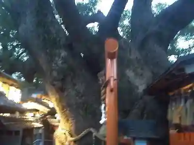 三島神社のその他建物