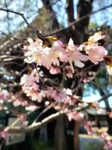 妙法寺(東京都)