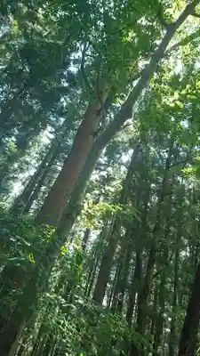 釜石大観音(岩手県)