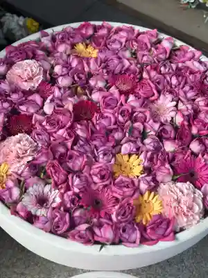 法輪寺の{uncategorized: "未分類", other: "その他", undefined: "問題あり", building: "その他建物", grave: "お墓", sacred_gate: "鳥居", guardian: "狛犬", statue: "像", buddha: "仏像", history: "歴史", nature: "自然", garden: "庭園", animal: "動物", pagoda: "塔", temizu: "手水舎", mountain_gate: "山門・神門", sanctuary: "本殿・本堂", subordinate: "末社・摂社", art: "芸術", scenery: "景色", jizo: "地蔵", ema: "絵馬", goshuin: "御朱印", omikuji: "おみくじ", items: "授与品その他", amulet: "お守り", goshuincho: "御朱印帳", eats: "食事", festival: "お祭り", votive_dance: "神楽", shichigosan: "七五三参", wedding: "結婚式", experience: "体験その他", initially: "初詣", around: "周辺", anti_infection: "感染症対策"}