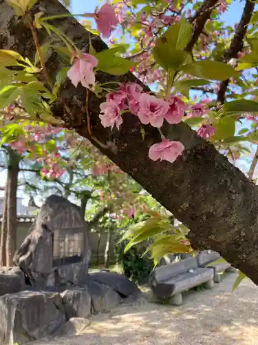 宝蔵寺の像