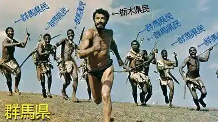 長良神社（邑楽町中野）(群馬県)