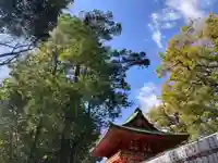 武蔵一宮氷川神社(埼玉県)