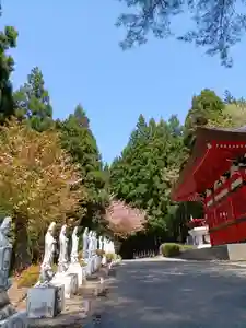 白狐山光星寺(山形県)(2023年04月25日(火) 13時26分46秒投稿)