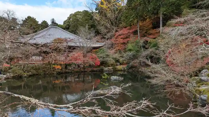 醍醐寺(京都府)