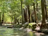 小國神社の{uncategorized: "未分類", other: "その他", undefined: "問題あり", building: "その他建物", grave: "お墓", sacred_gate: "鳥居", guardian: "狛犬", statue: "像", buddha: "仏像", history: "歴史", nature: "自然", garden: "庭園", animal: "動物", pagoda: "塔", temizu: "手水舎", mountain_gate: "山門・神門", sanctuary: "本殿・本堂", subordinate: "末社・摂社", art: "芸術", scenery: "景色", jizo: "地蔵", ema: "絵馬", goshuin: "御朱印", omikuji: "おみくじ", items: "授与品その他", amulet: "お守り", goshuincho: "御朱印帳", eats: "食事", festival: "お祭り", votive_dance: "神楽", shichigosan: "七五三参", wedding: "結婚式", experience: "体験その他", initially: "初詣", around: "周辺", anti_infection: "感染症対策"}