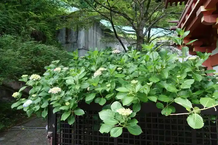 南法華寺(壷阪寺)(奈良県)