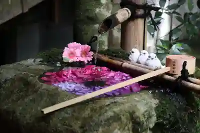 柳谷観音 楊谷寺の手水舎