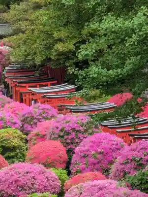 根津神社(東京都)