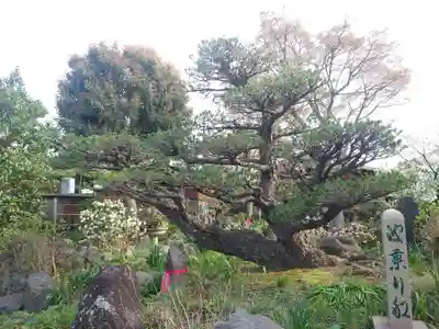 常泉寺(神奈川県)
