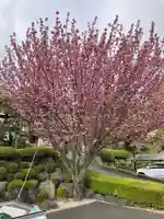 保井寺(東京都)