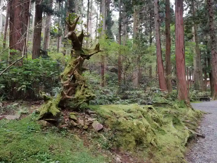 御岩神社のその他建物
